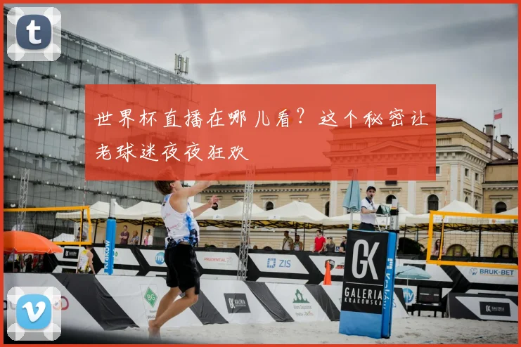 世界杯直播在哪儿看？这个秘密让老球迷夜夜狂欢