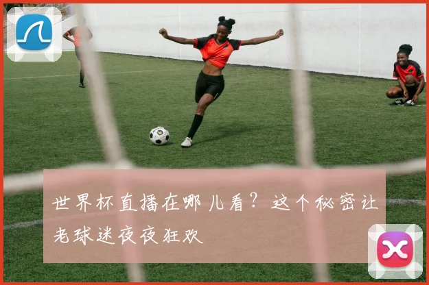 世界杯直播在哪儿看？这个秘密让老球迷夜夜狂欢